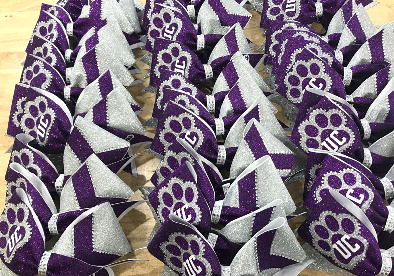 Purple & Silver Paw Print Bow Triple Chevrons